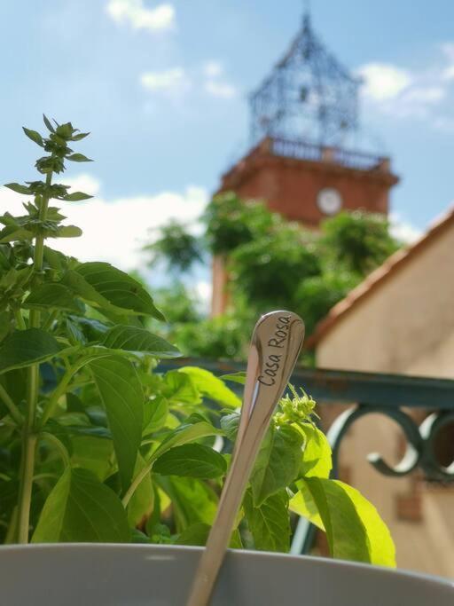 فيلا Casa Rosa, Un Petit Cocon Catalan Ortaffa المظهر الخارجي الصورة