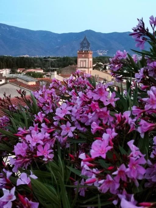 فيلا Casa Rosa, Un Petit Cocon Catalan Ortaffa المظهر الخارجي الصورة